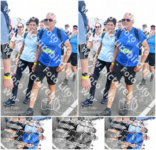 Evenement foto: Nijmeegse Vierdaagse 653