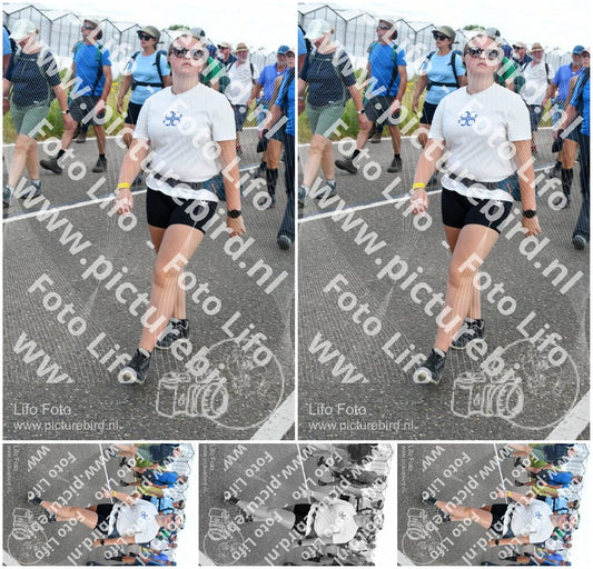 Evenement foto: Nijmeegse Vierdaagse 653