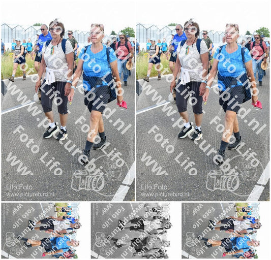 Evenement foto: Nijmeegse Vierdaagse 653