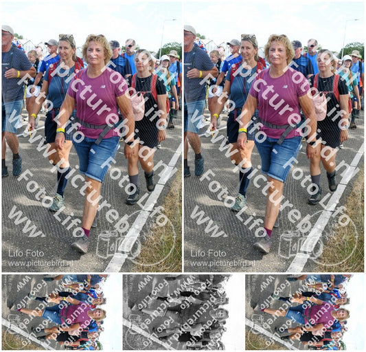 Evenement foto: Nijmeegse Vierdaagse 653