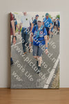 Evenement foto: Nijmeegse Vierdaagse 653