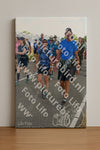Evenement foto: Nijmeegse Vierdaagse 653