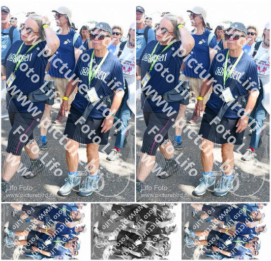 Evenement foto: Nijmeegse Vierdaagse 653