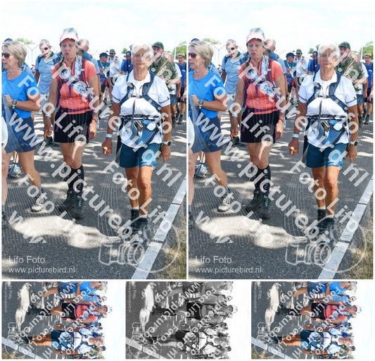 Evenement foto: Nijmeegse Vierdaagse 653