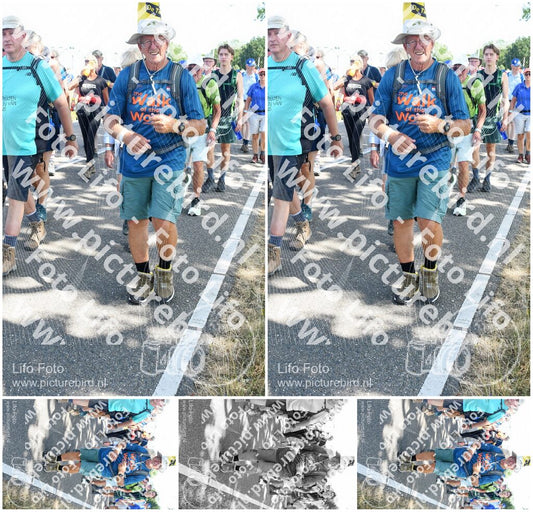 Evenement foto: Nijmeegse Vierdaagse 653