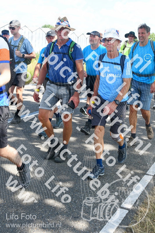 Evenement foto: Nijmeegse Vierdaagse 652