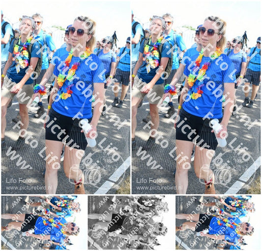 Evenement foto: Nijmeegse Vierdaagse 652