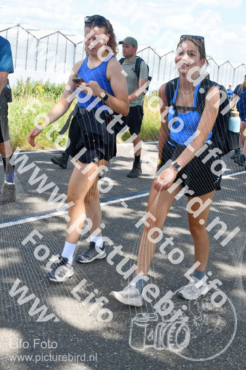 Evenement foto: Nijmeegse Vierdaagse 652