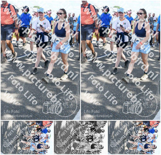 Evenement foto: Nijmeegse Vierdaagse 652