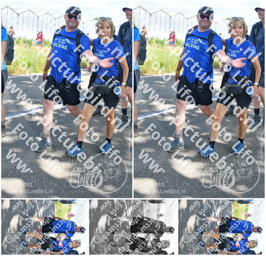 Evenement foto: Nijmeegse Vierdaagse 652