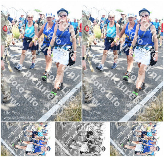 Evenement foto: Nijmeegse Vierdaagse 652
