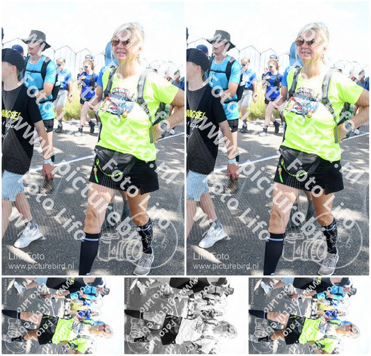 Evenement foto: Nijmeegse Vierdaagse 652
