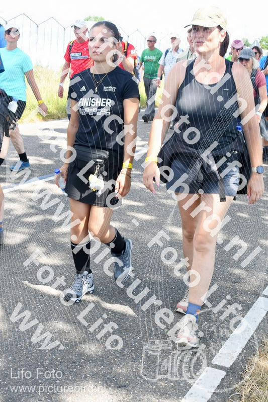 Evenement foto: Nijmeegse Vierdaagse 652