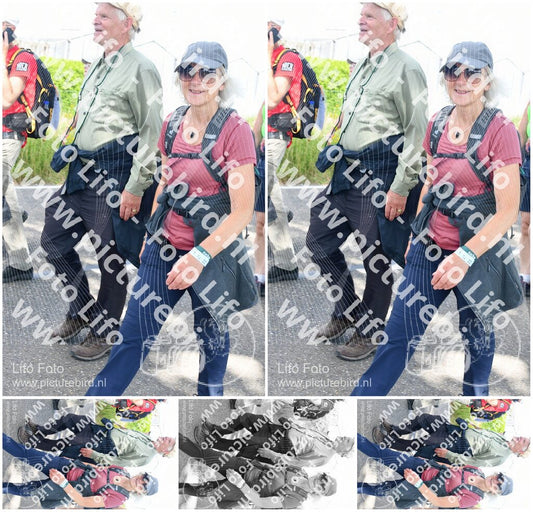 Evenement foto: Nijmeegse Vierdaagse 652