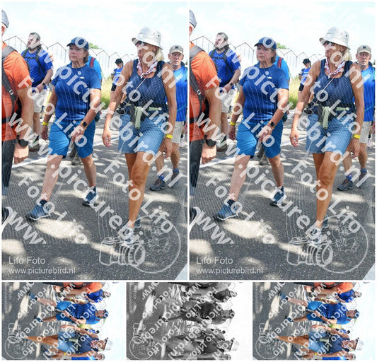 Evenement foto: Nijmeegse Vierdaagse 652