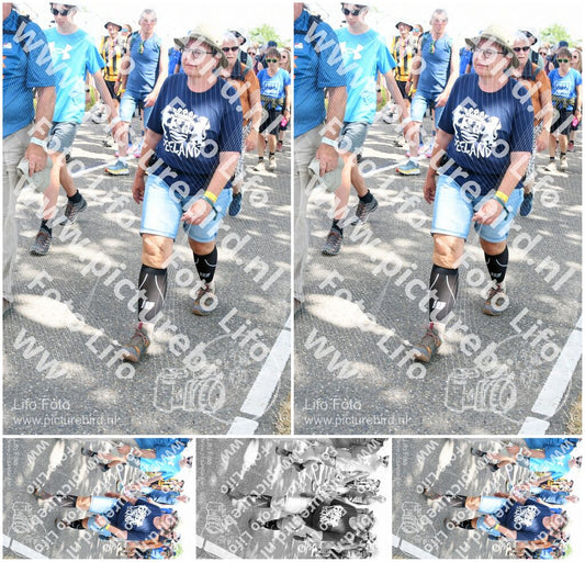 Evenement foto: Nijmeegse Vierdaagse 652