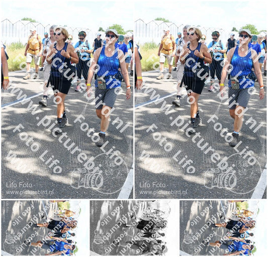 Evenement foto: Nijmeegse Vierdaagse 652