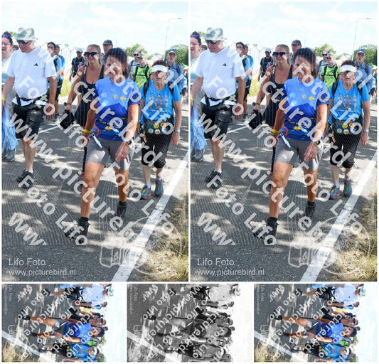 Evenement foto: Nijmeegse Vierdaagse 651