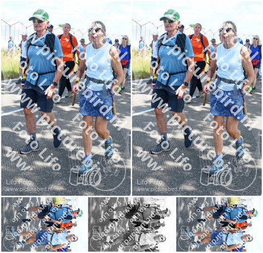 Evenement foto: Nijmeegse Vierdaagse 651