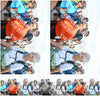 Evenement foto: Nijmeegse Vierdaagse 651
