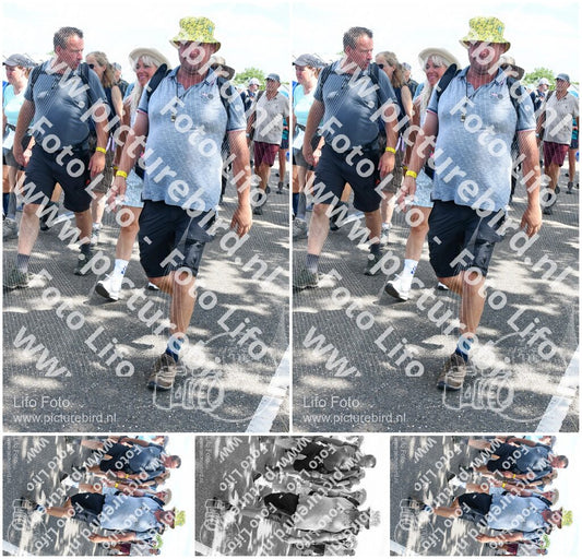 Evenement foto: Nijmeegse Vierdaagse 651