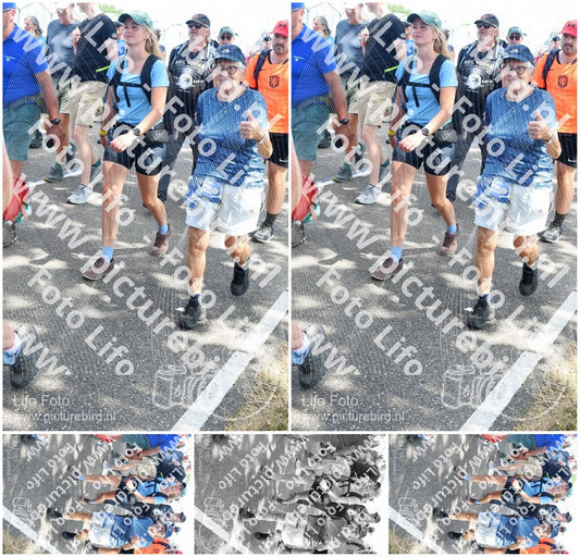 Evenement foto: Nijmeegse Vierdaagse 651