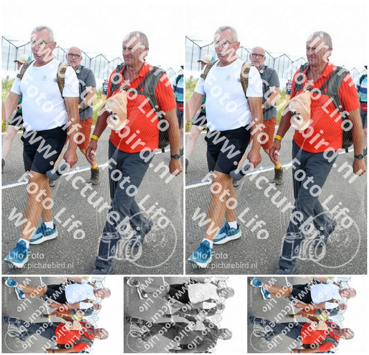 Evenement foto: Nijmeegse Vierdaagse 651