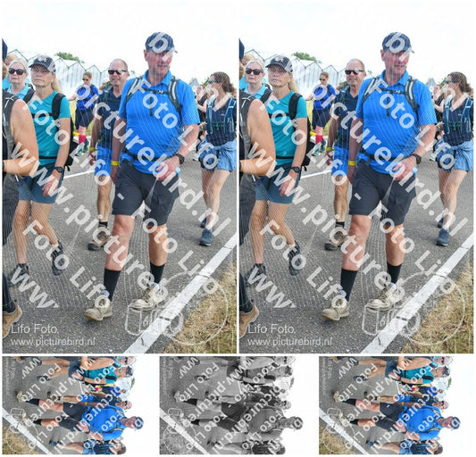 Evenement foto: Nijmeegse Vierdaagse 651