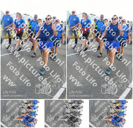 Evenement foto: Nijmeegse Vierdaagse 651