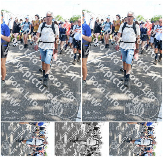 Evenement foto: Nijmeegse Vierdaagse 651