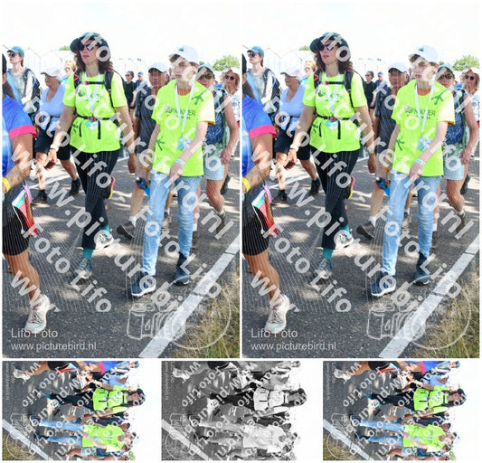 Evenement foto: Nijmeegse Vierdaagse 651