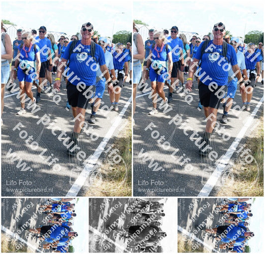 Evenement foto: Nijmeegse Vierdaagse 650