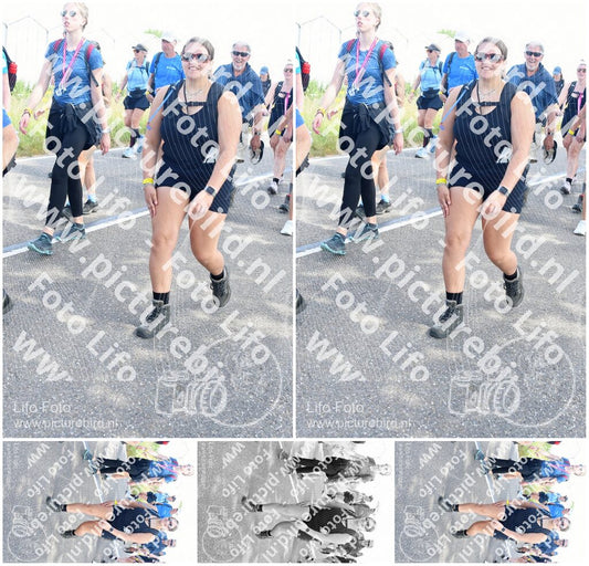Evenement foto: Nijmeegse Vierdaagse 650