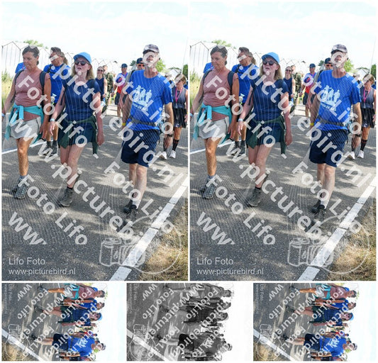 Evenement foto: Nijmeegse Vierdaagse 650