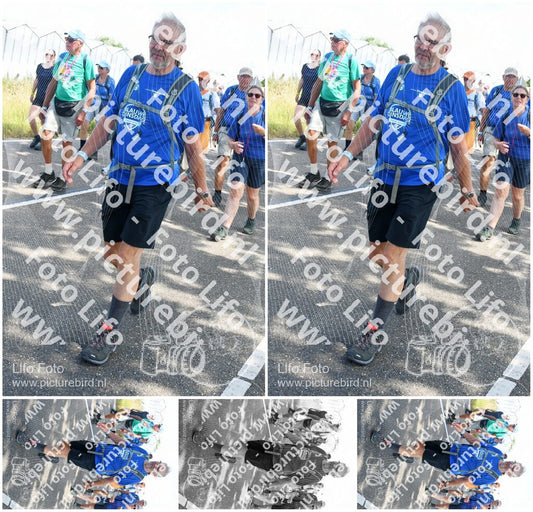 Evenement foto: Nijmeegse Vierdaagse 650