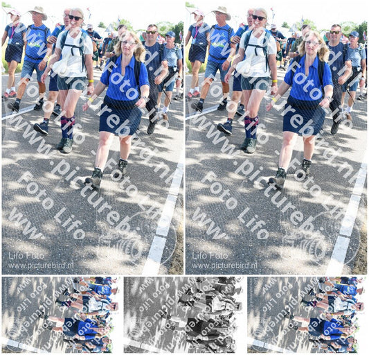Evenement foto: Nijmeegse Vierdaagse 650