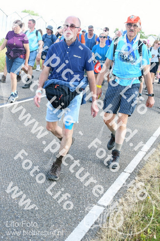 Evenement foto: Nijmeegse Vierdaagse 650