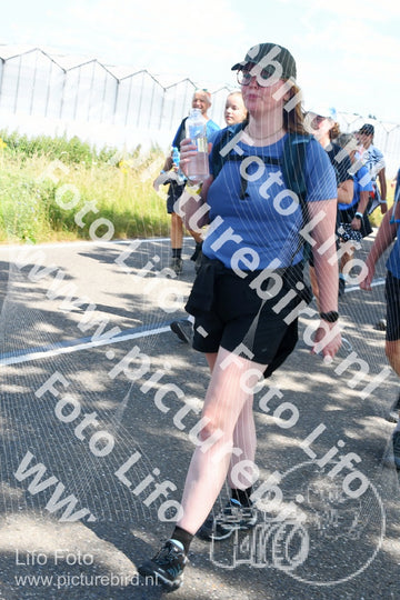 Evenement foto: Nijmeegse Vierdaagse 650