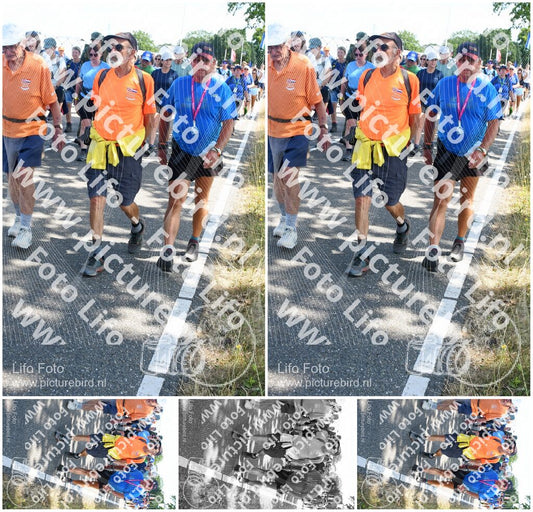 Evenement foto: Nijmeegse Vierdaagse 650