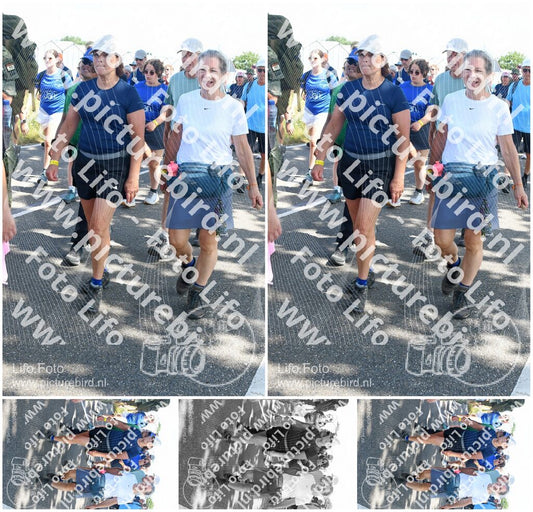 Evenement foto: Nijmeegse Vierdaagse 650