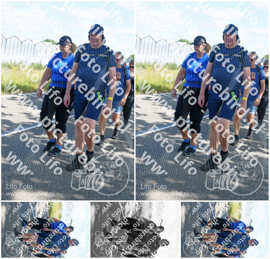 Evenement foto: Nijmeegse Vierdaagse 650