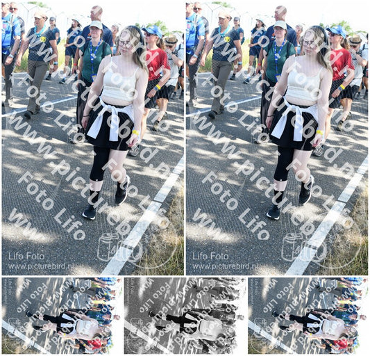 Evenement foto: Nijmeegse Vierdaagse 650