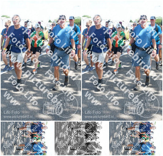 Evenement foto: Nijmeegse Vierdaagse 650