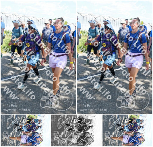 Evenement foto: Nijmeegse Vierdaagse 650