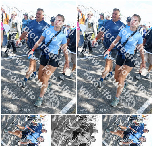 Evenement foto: Nijmeegse Vierdaagse 650