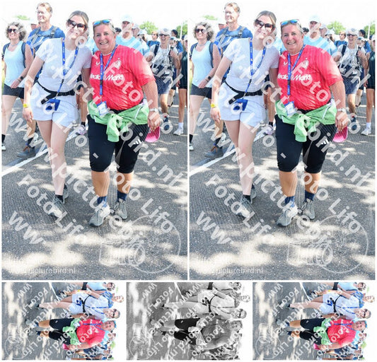 Evenement foto: Nijmeegse Vierdaagse 650
