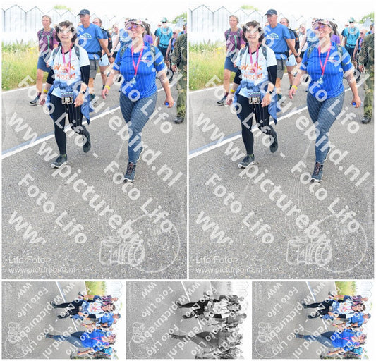 Evenement foto: Nijmeegse Vierdaagse 649