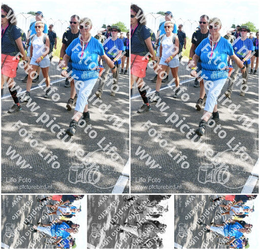 Evenement foto: Nijmeegse Vierdaagse 649
