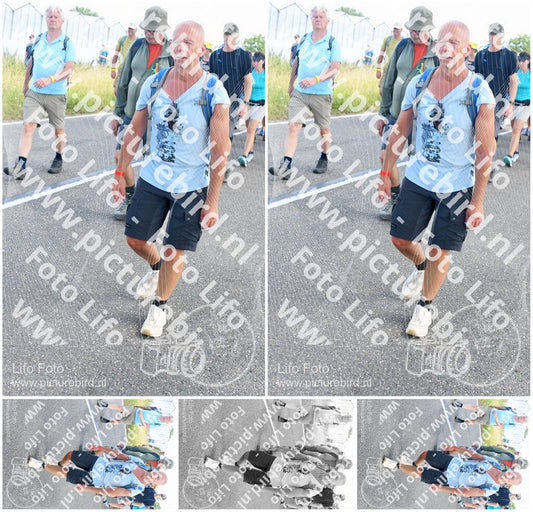 Evenement foto: Nijmeegse Vierdaagse 649