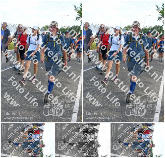 Evenement foto: Nijmeegse Vierdaagse 649
